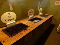 149 MUSEE DU CHAMPIGNON A  SAUMUR 2016 2_000035
